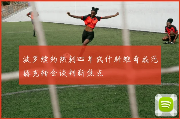 波罗续约热刺四年武什科维奇成范赫克转会谈判新焦点
