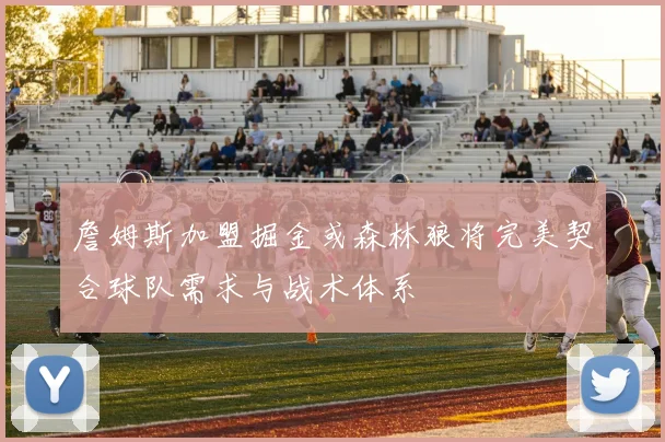 詹姆斯加盟掘金或森林狼将完美契合球队需求与战术体系